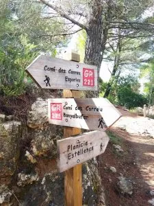 Sortida Camí des Correu - 4t ESO