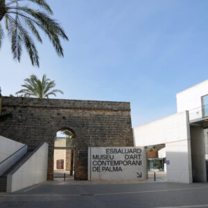 Visita al museu Es Baluard