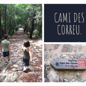 Sortida Camí des Correu
