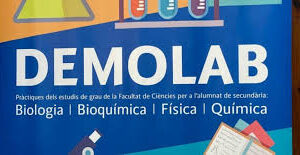 Demolab "El pla inclinat"